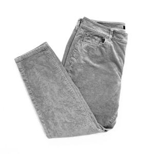 Ann Taylor 12P velvet finish ankle-length jeans